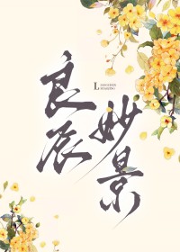 良辰妙景